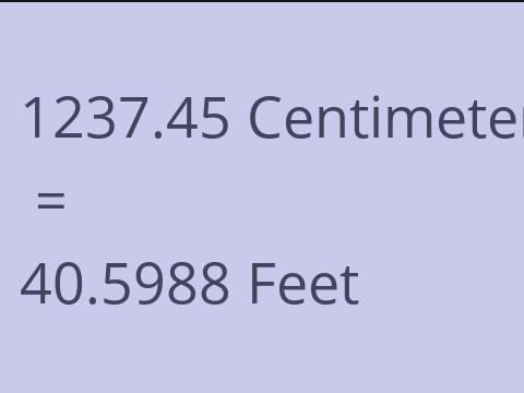 1237.45 CM TO FEET