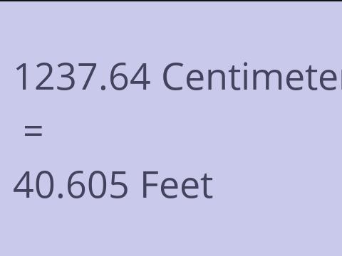 1237.64 CM TO FEET