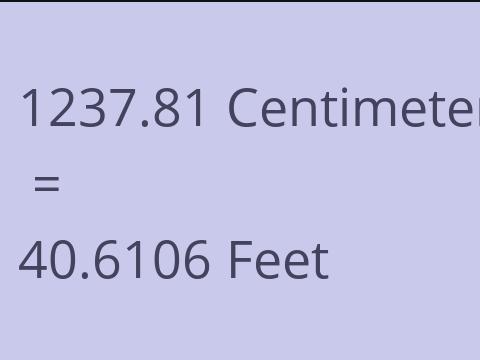 1237.81 CM TO FEET