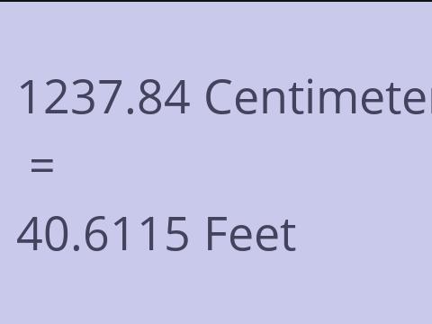 1237.84 CM TO FEET