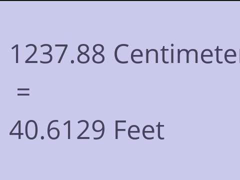 1237.88 CM TO FEET