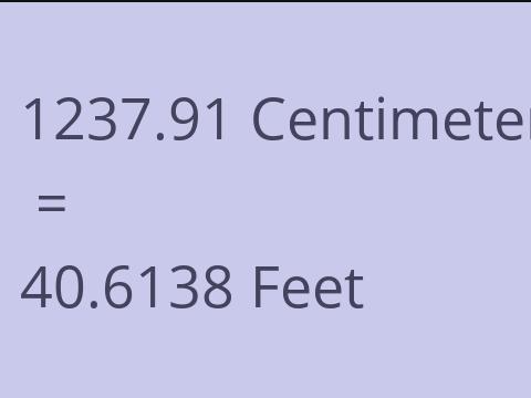 1237.91 CM TO FEET