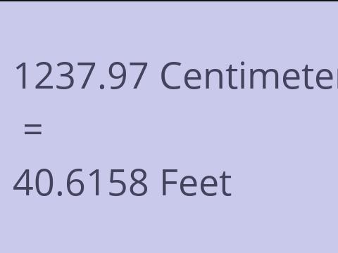 1237.97 CM TO FEET