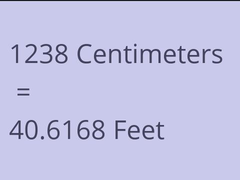 1238 CM TO FEET