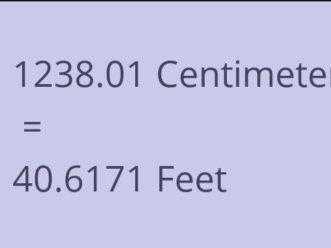 1238.01 CM TO FEET