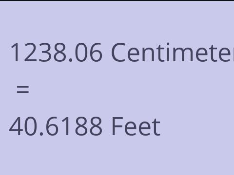 1238.06 CM TO FEET