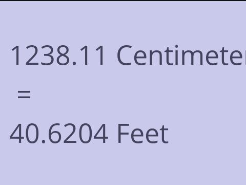 1238.11 CM TO FEET