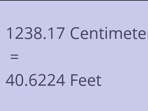 1238.17 CM TO FEET