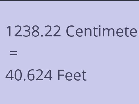 1238.22 CM TO FEET