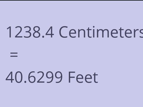 1238.4 CM TO FEET