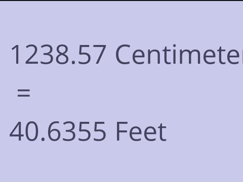 1238.57 CM TO FEET