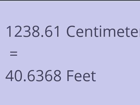 1238.61 CM TO FEET