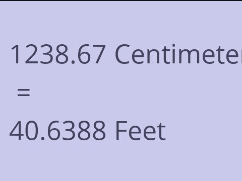 1238.67 CM TO FEET