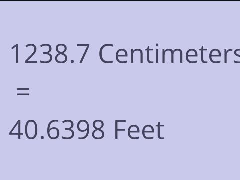 1238.7 CM TO FEET