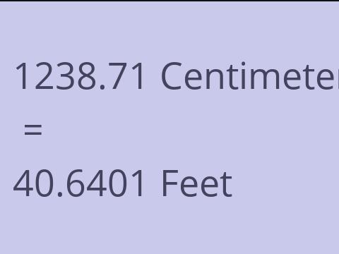 1238.71 CM TO FEET