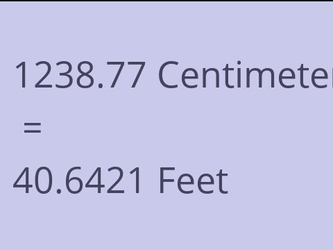 1238.77 CM TO FEET