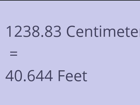 1238.83 CM TO FEET