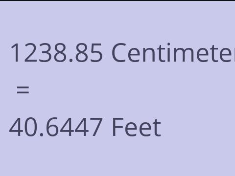 1238.85 CM TO FEET