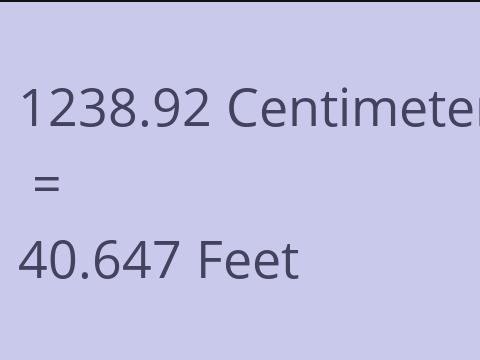 1238.92 CM TO FEET