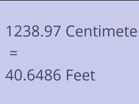 1238.97 CM TO FEET