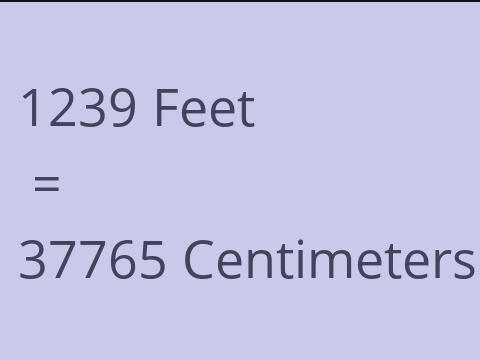 1239 FEET TO CM