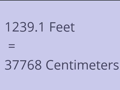 1239.1 FEET TO CM