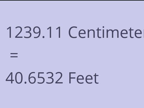 1239.11 CM TO FEET