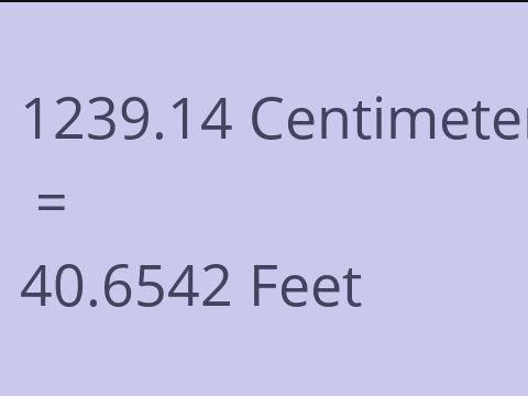 1239.14 CM TO FEET