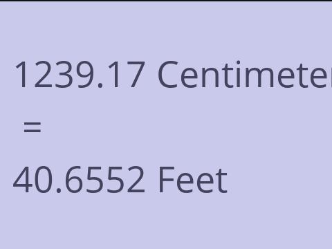 1239.17 CM TO FEET