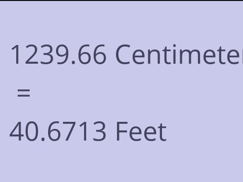 1239.66 CM TO FEET