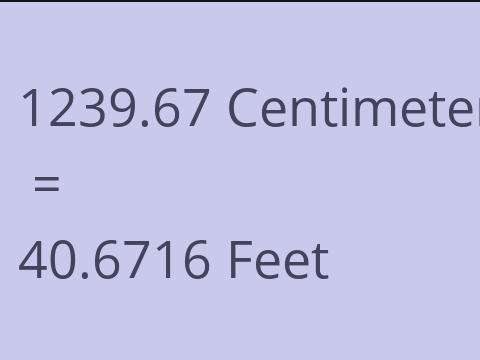 1239.67 CM TO FEET