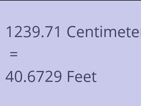 1239.71 CM TO FEET