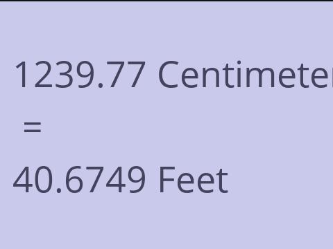 1239.77 CM TO FEET