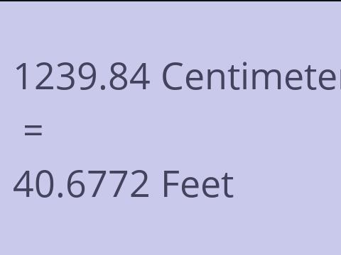 1239.84 CM TO FEET