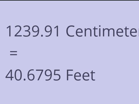 1239.91 CM TO FEET