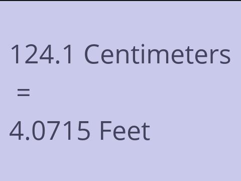 124.1 CM TO FEET