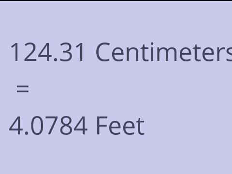 124.31 CM TO FEET