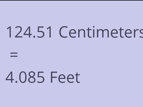 124.51 CM TO FEET