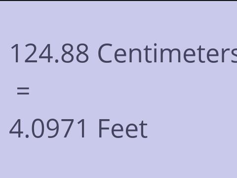 124.88 CM TO FEET