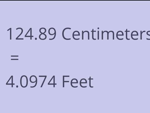 124.89 CM TO FEET