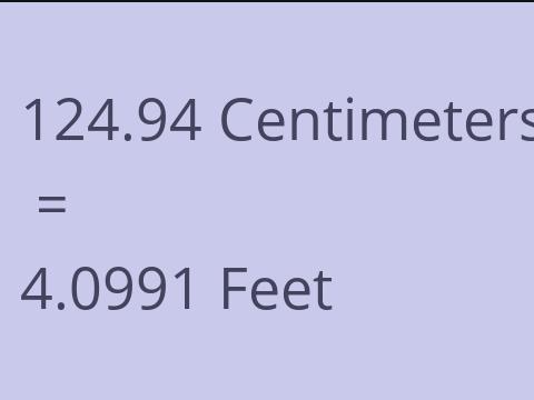 124.94 CM TO FEET