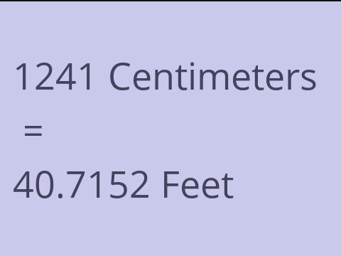 1241 CM TO FEET