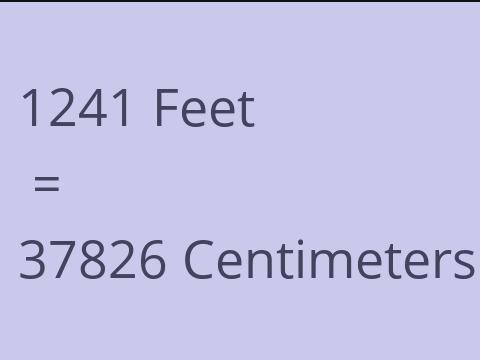 1241 FEET TO CM