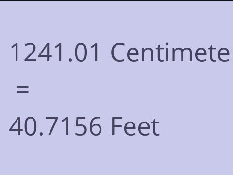 1241.01 CM TO FEET