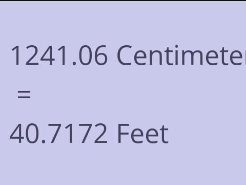 1241.06 CM TO FEET