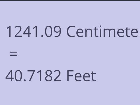 1241.09 CM TO FEET