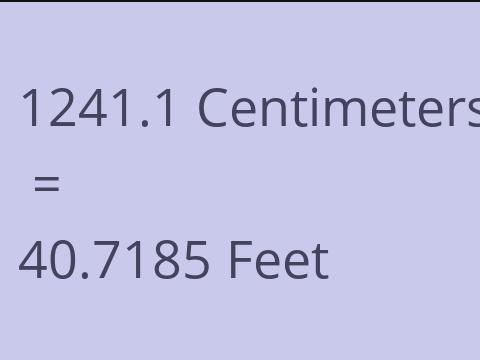 1241.1 CM TO FEET