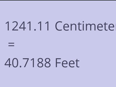 1241.11 CM TO FEET