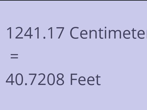 1241.17 CM TO FEET