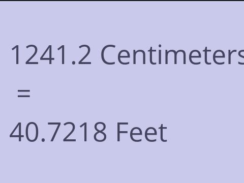 1241.2 CM TO FEET